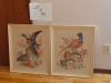 Set of Needlepoint Art ( birds )