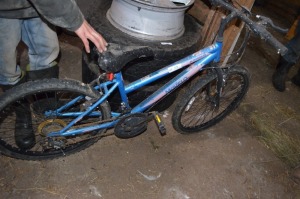 24" Algonquin Kid's Bike