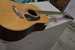 Epiphone 12 string Guitar